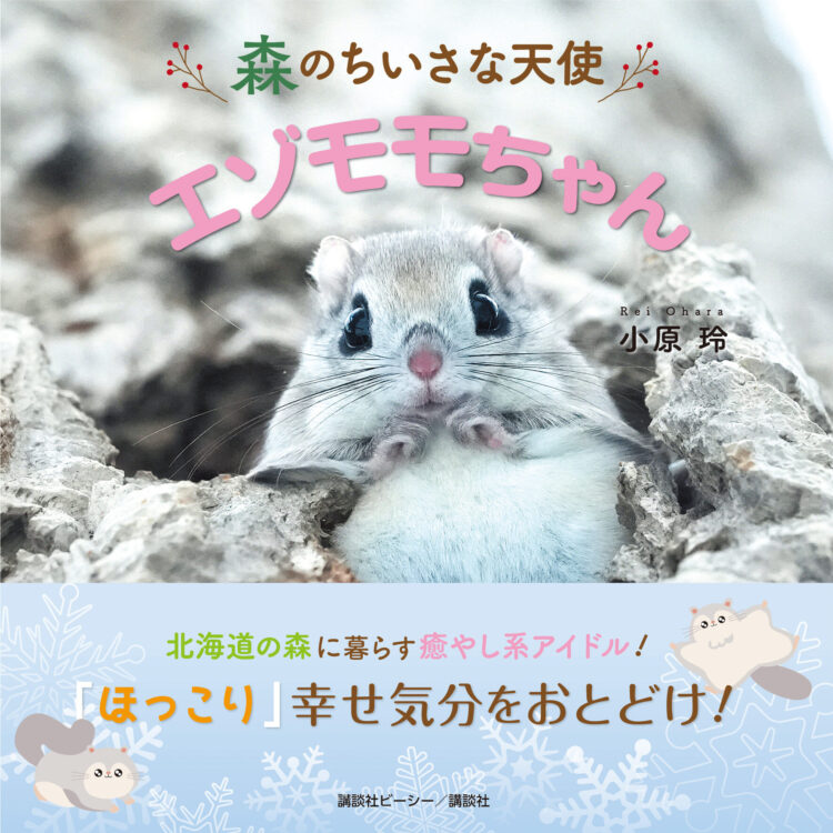 小原玲さんの遺作写真集「エゾモモちゃん」 高校の同級生が前橋市に100