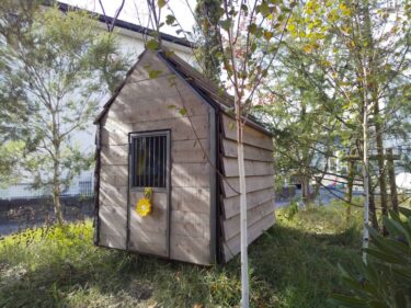 「世界一小さな本屋さん」12月誕生
ソウワの森でギネス認定式

