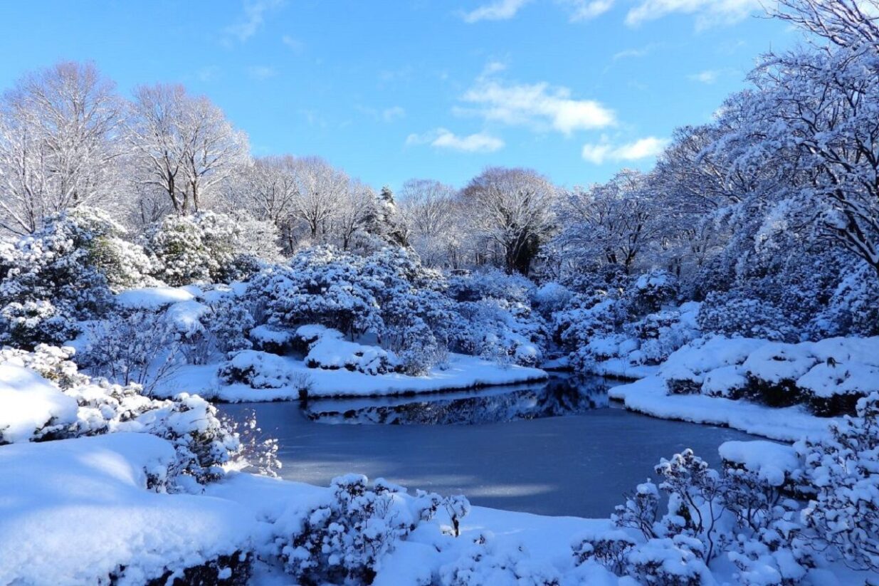 【癒しの森にようこそ－赤城自然園だより▶5 】
冬の赤城自然園