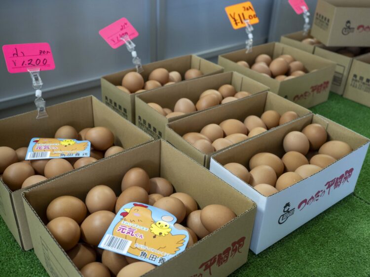 角田養鶏 平飼いの大玉でTKGの前橋グルメ情報｜前橋発、新しい風 「め