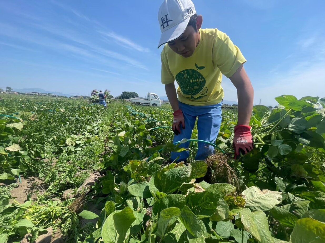 前橋市役所でマルシェ
７月31日に野菜や加工品販売
