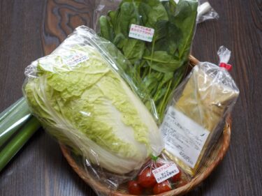 がってん野菜直売所　
朝採り野菜１つ100円