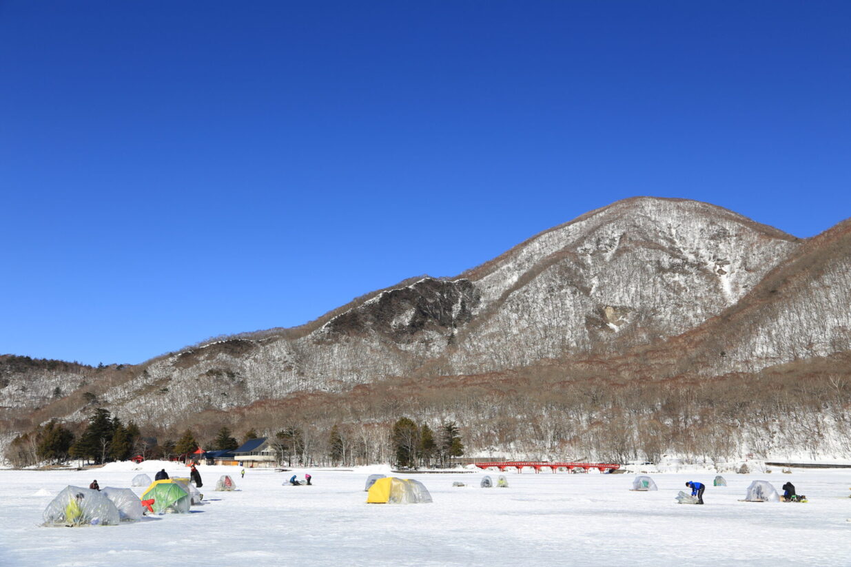 氷上ワカサギ釣り13日解禁
関東で最大の赤城大沼
