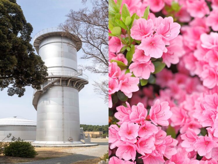 敷島浄水場を一般開放
ツツジ観賞と配水塔見学