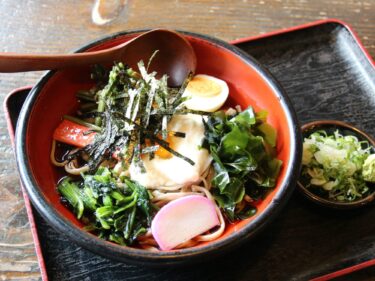 手打そば かばや
夏バテに最高の「ゆきわり」
