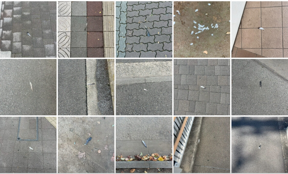 【萩原朔美の前橋航海日誌Vol.49】 
「夢の落とし物」