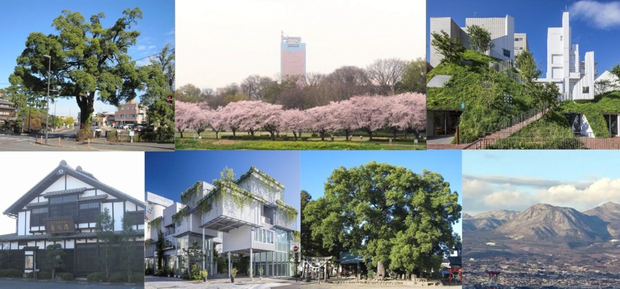 前橋市景観資産に新たに７件登録　
白井屋ホテルや原嶋屋総本家など