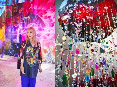 蜷川実花さんのアートイルミネーション
 12月１日から白井屋ホテルを彩る