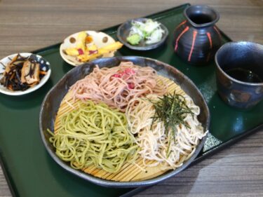 森の蕎麦かふぇ九頭龍（くずりゅう）
三色もり 目と口で楽しむ
