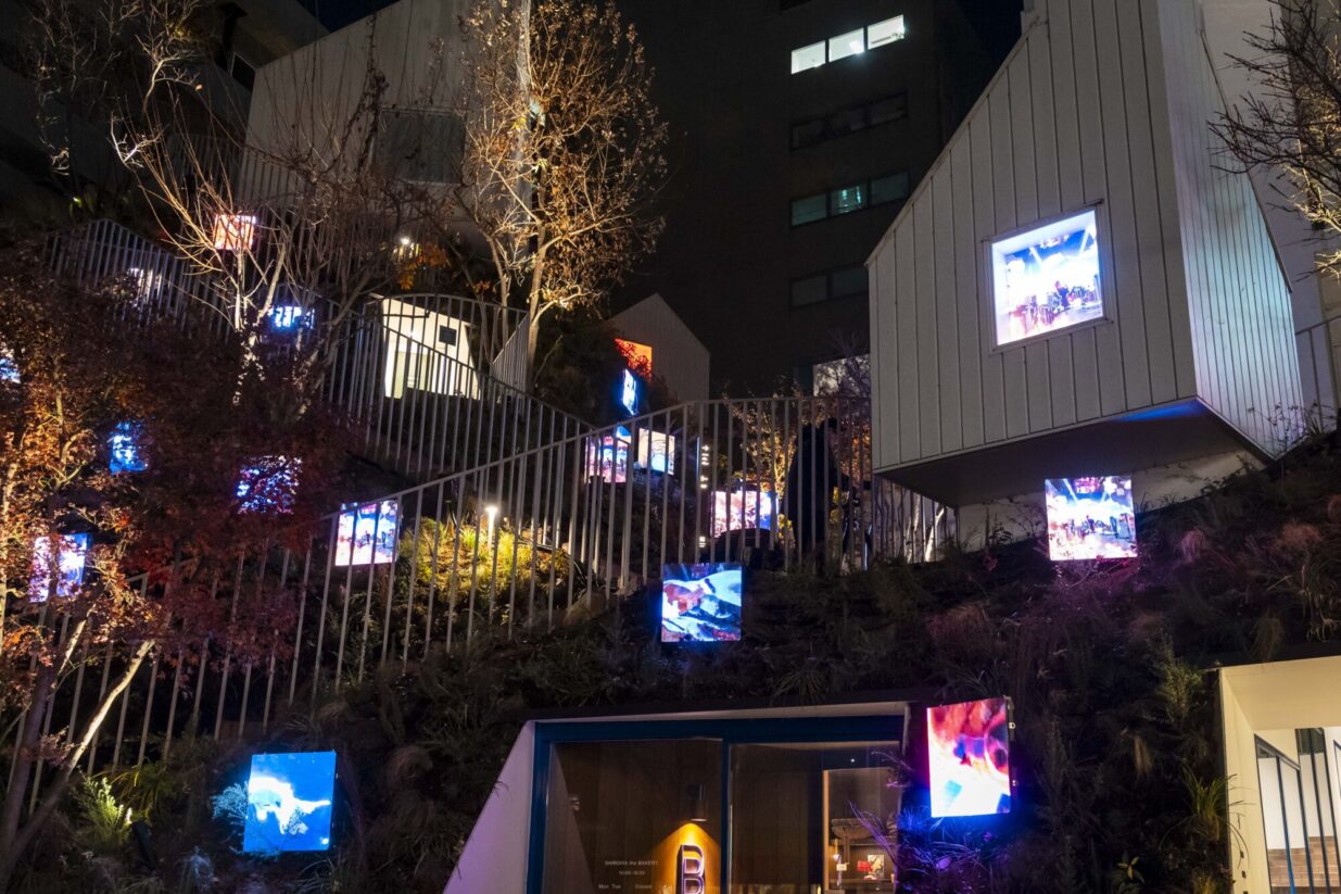 蜷川実花×EiM アートイルミネーション始動
白井屋ホテルが光に包まれる