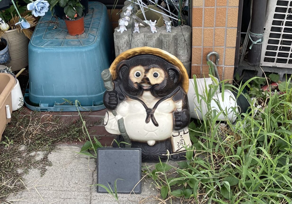 【萩原朔美の前橋航海日誌Vol.53】 
猫じゃなくて狸