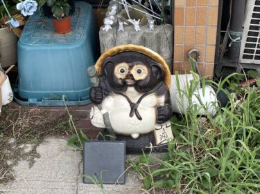 【萩原朔美の前橋航海日誌Vol.53】 
猫じゃなくて狸