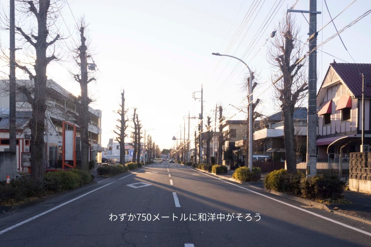 【グルメ散歩⑥】
前橋きっての“食いしん坊通り”  
インターハイ道路を行く