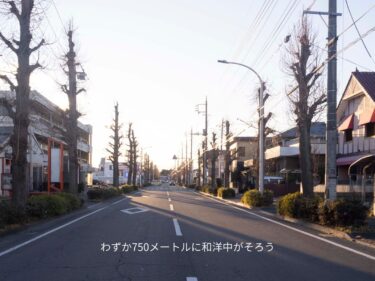 【グルメ散歩⑥】
前橋きっての“食いしん坊通り”  
インターハイ道路を行く