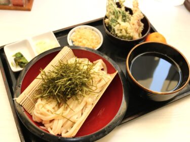 白虎大友町本店
ざるうどんを熱汁で
