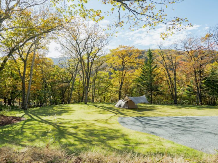 赤城山頂に新キャンプ場
４月25日開業、101区画
