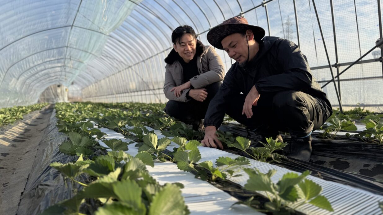 奇跡のイチゴ 世界一への挑戦
GIVEが苺屋永井を再生
