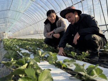 奇跡のイチゴ 世界一への挑戦
GIVEが苺屋永井を再生
