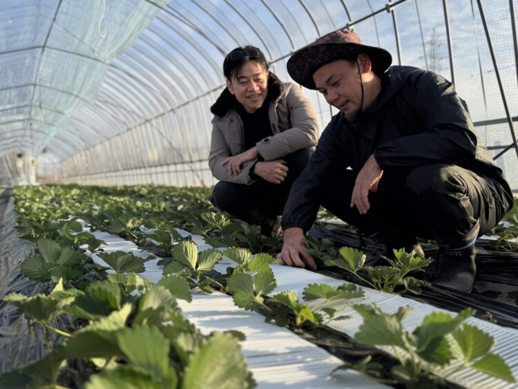 奇跡のイチゴ 世界一への挑戦
GIVEが苺屋永井を再生
