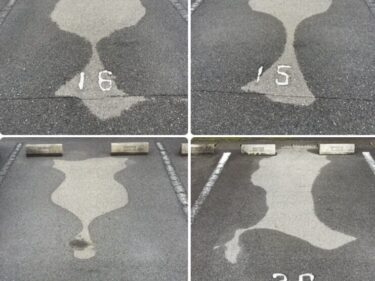 【萩原朔美の前橋航海日誌Vol.56】
雨後の散歩は心の探究