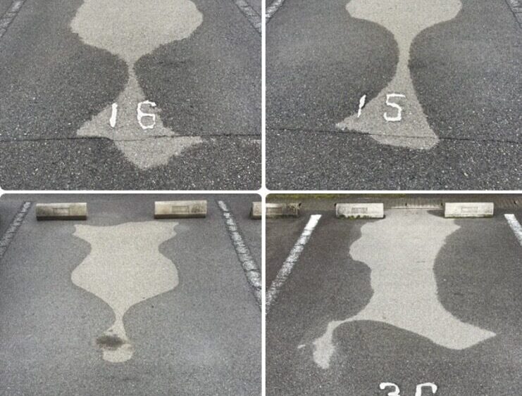 【萩原朔美の前橋航海日誌Vol.56】
雨後の散歩は心の探究
