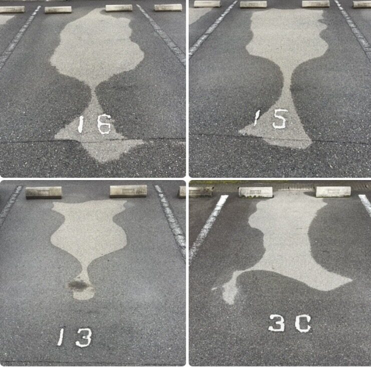 【萩原朔美の前橋航海日誌Vol.56】
雨後の散歩は心の探究