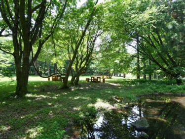【癒しの森にようこそ－赤城自然園だより▶32】
森にそっと、お邪魔する
「森 de Camp」