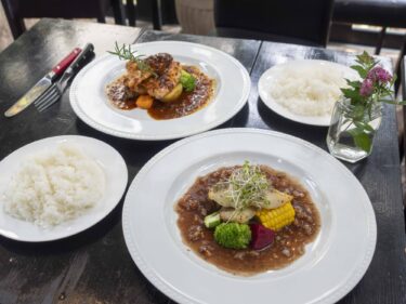 ジムノペティ ブラッスリー
食後まで軽やかなランチ