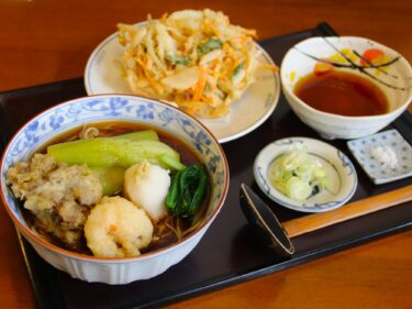 そば平
奇跡のナスで冷やしぶっかけ
