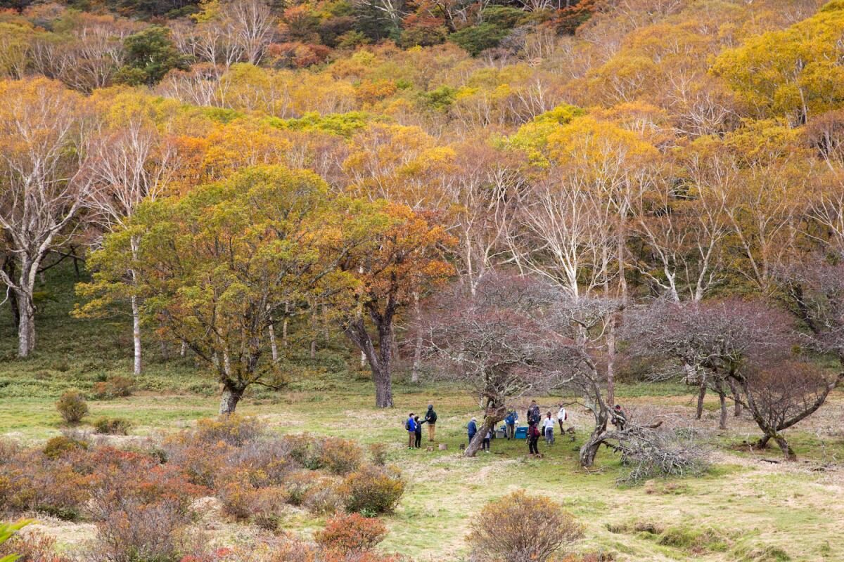 紅葉の赤城山、秘密の牧場へ
「普段は入れない」白樺牧場を歩こう
